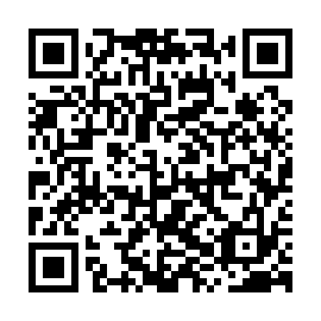 QR code for plate MXW 133