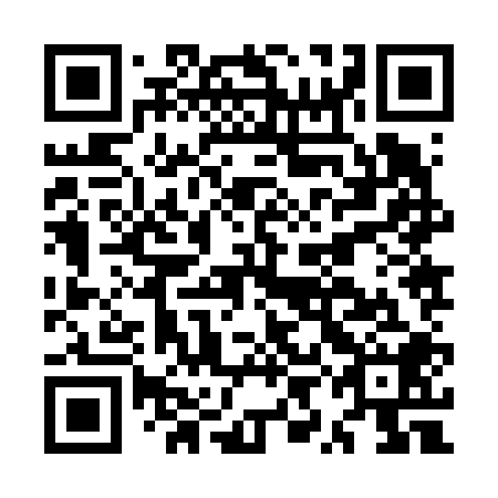 QR code for plate MYJ 608