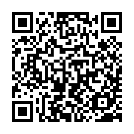 QR code for plate MYR 085