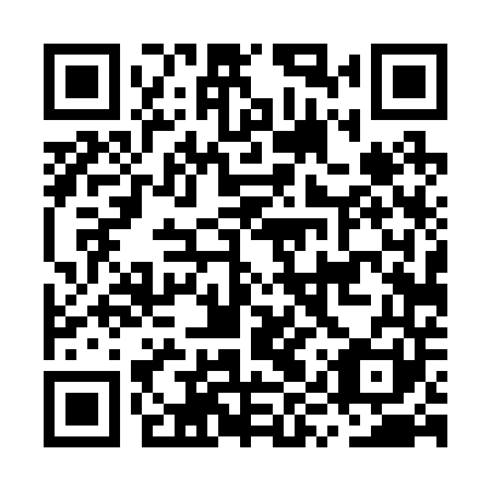 QR code for MYT 241