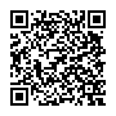 QR code for plate MYX 476