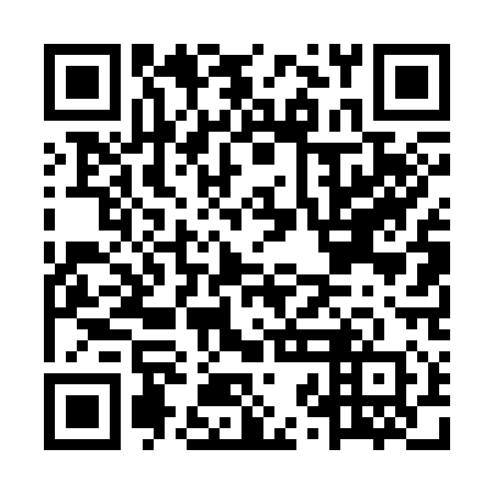 QR code for plate MZD 310