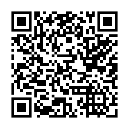 QR code for MZM 246