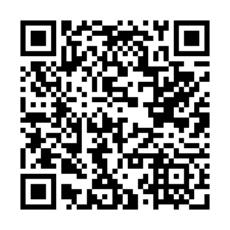 QR code for plate MZR 463