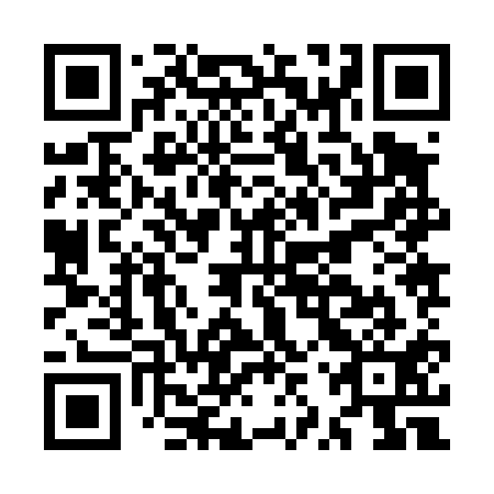 QR code for MZZ411