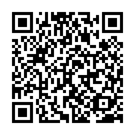 QR code for plate NAE 069