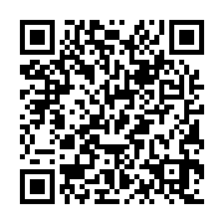QR code for plate NAE 133