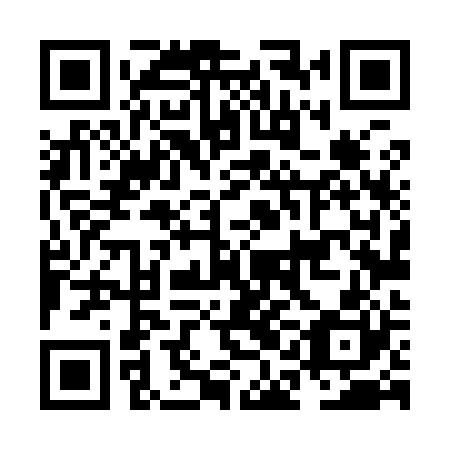 QR code for plate NAL 920