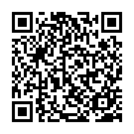QR code for NAO307