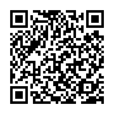 QR code for plate NAO 638