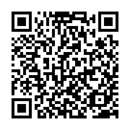 QR code for NAS381
