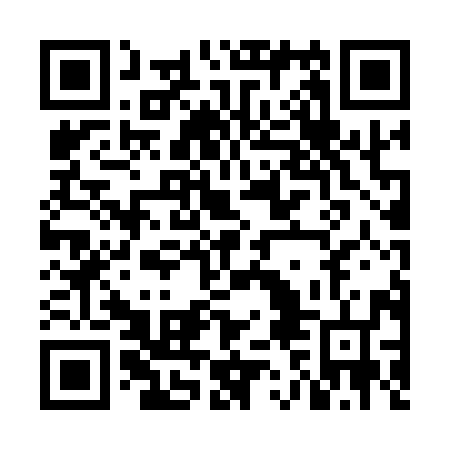 QR code for plate NBD 196