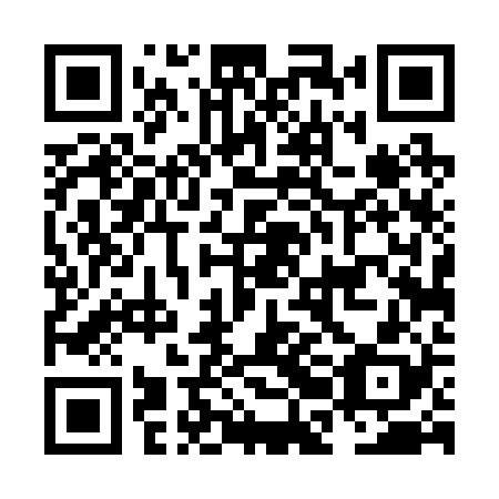 QR code for plate NBD 228