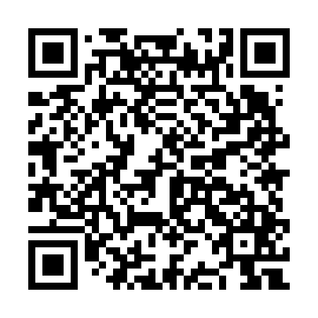QR code for plate NBM 645