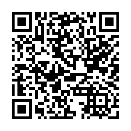 QR code for NCI 993