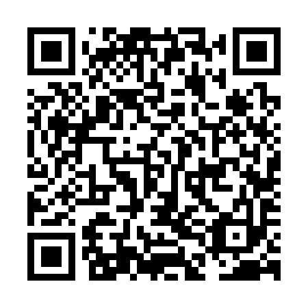QR code for plate NDF 393