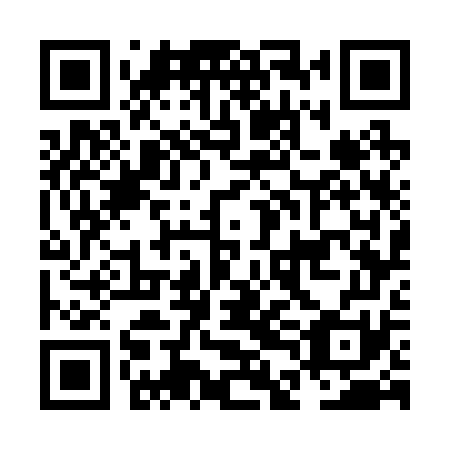 QR code for plate NDG 271