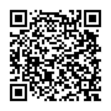 QR code for plate NDP 480
