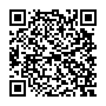 QR code for plate NDZ 041