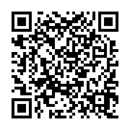 QR code for NED 217