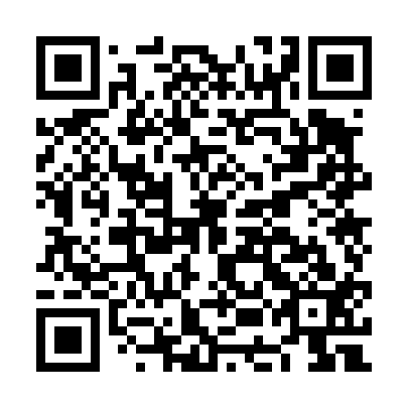 QR code for NEO413