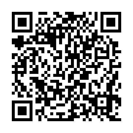 QR code for NEP 377