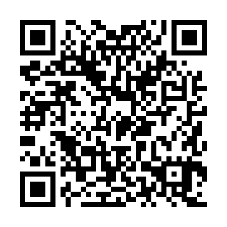QR code for plate NEP 585