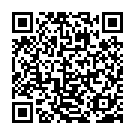 QR code for NES 231