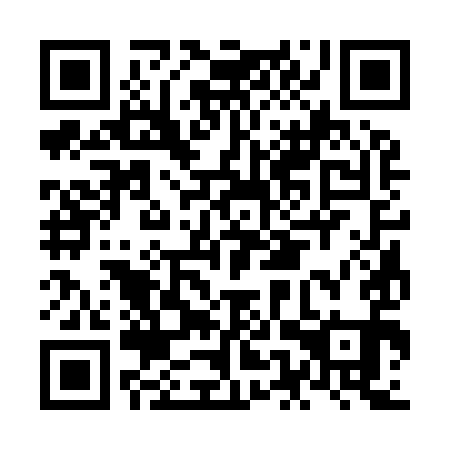 QR code for NES 991