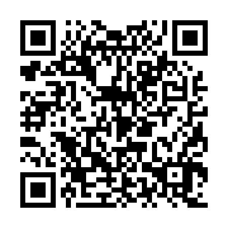 QR code for NES006