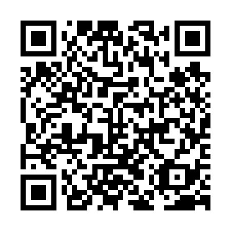 QR code for NES639