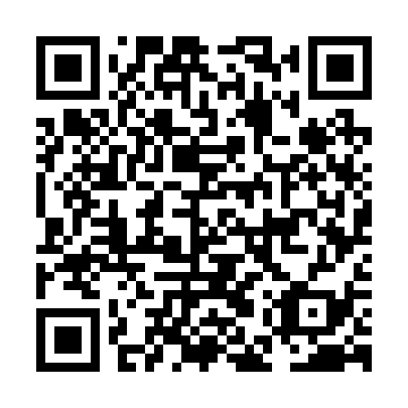 QR code for plate NEW 239