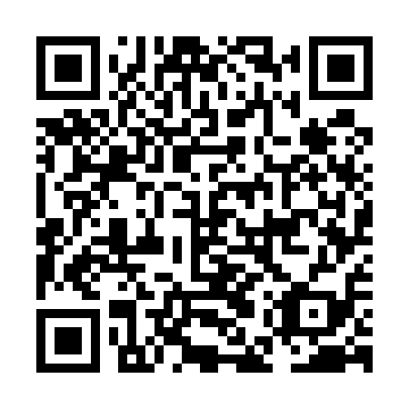 QR code for plate NEW 519