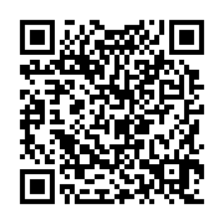 QR code for NEX 384