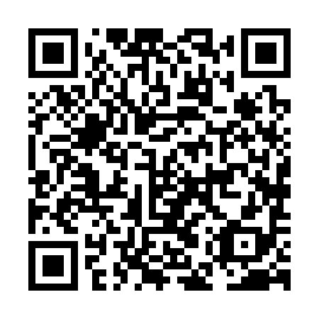 QR code for NEX 398