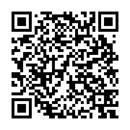 QR code for NFC339
