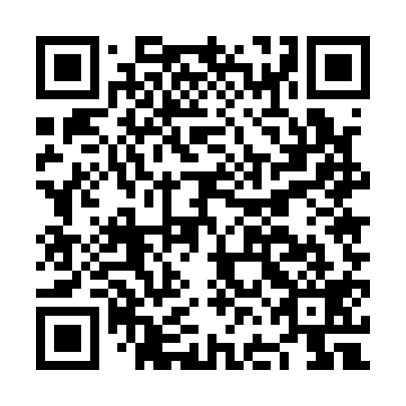 QR code for plate NFE 119