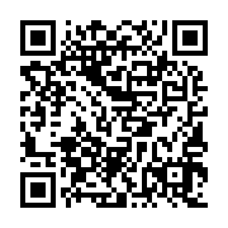 QR code for plate NFE 917