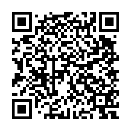 QR code for plate NFJ 451