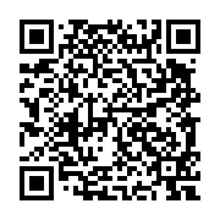 QR code for plate NFL 491