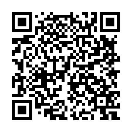 QR code for plate NFM 877