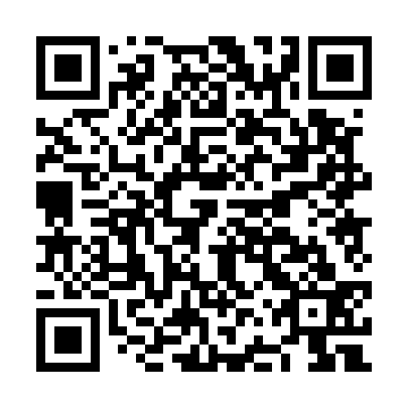 QR code for NFP533