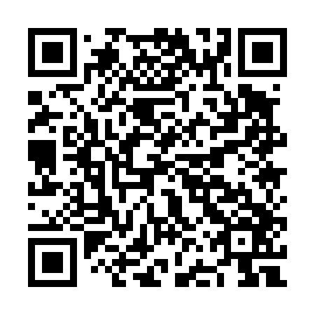 QR code for NFQ 446