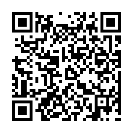 QR code for plate NFS 155