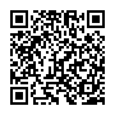 QR code for NFT 173