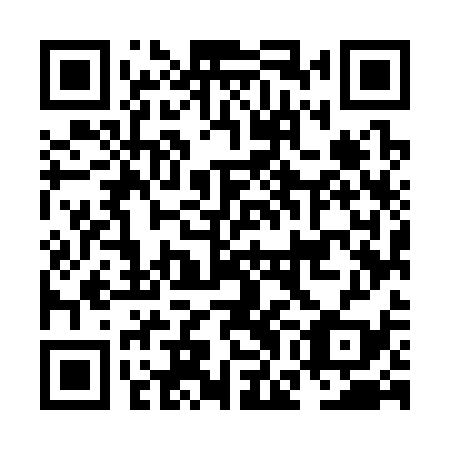 QR code for NGM 339