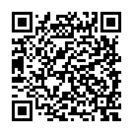 QR code for NGN 991