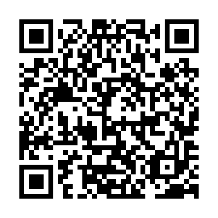 QR code for plate NGN 293