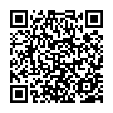 QR code for plate NGN 585