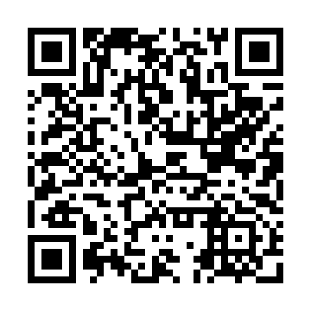 QR code for plate NGP 493
